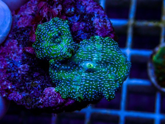 l260515-133