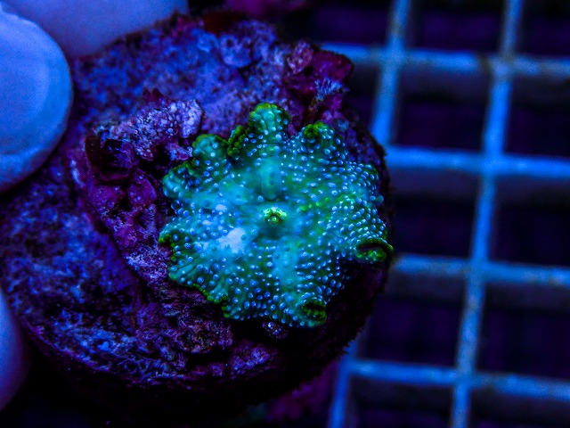 l260515-134