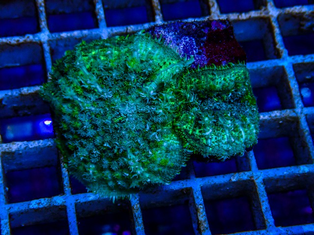 l260515-135