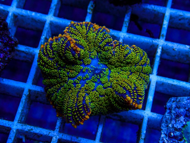 l260515-139