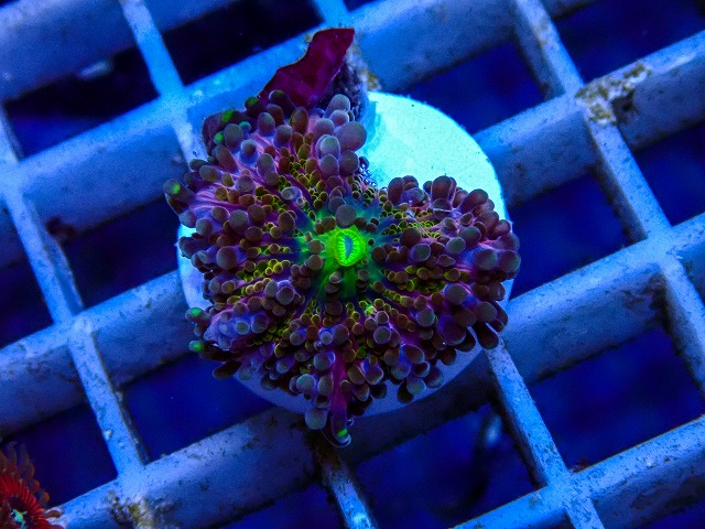 l260515-147