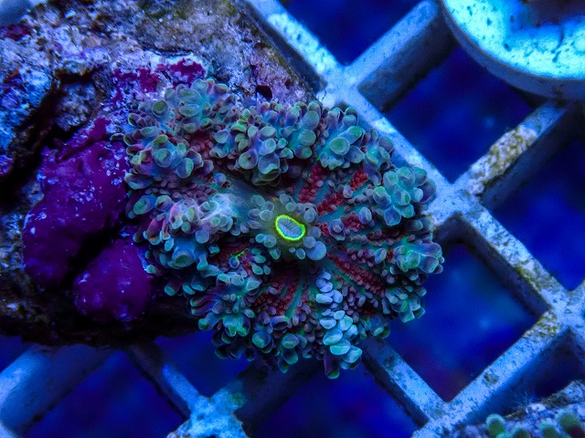 l260515-148