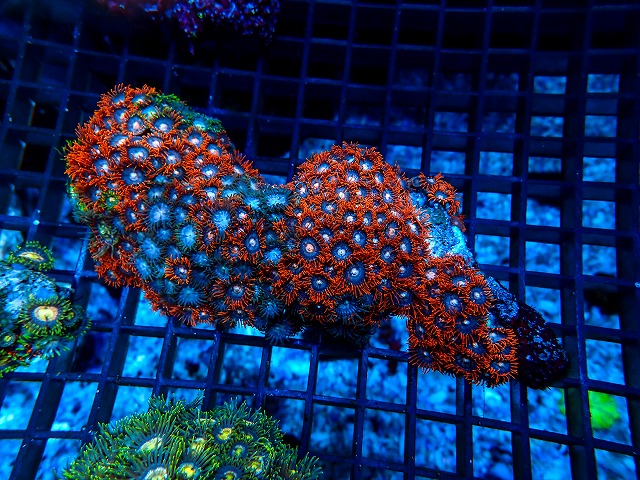 l260515-162