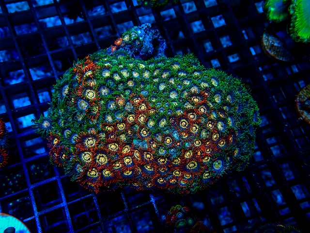 l260515-164
