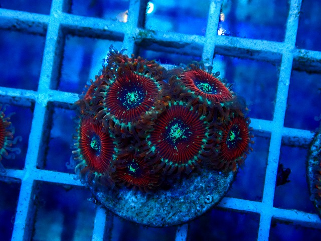 l260515-173