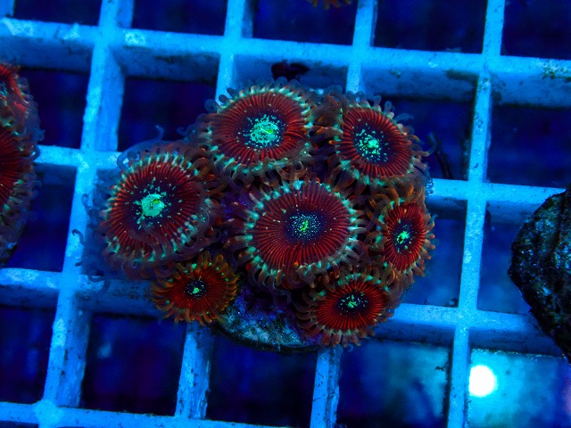l260515-174