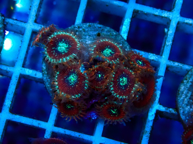 l260515-177