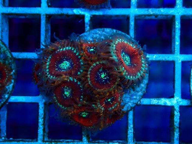 l260515-178