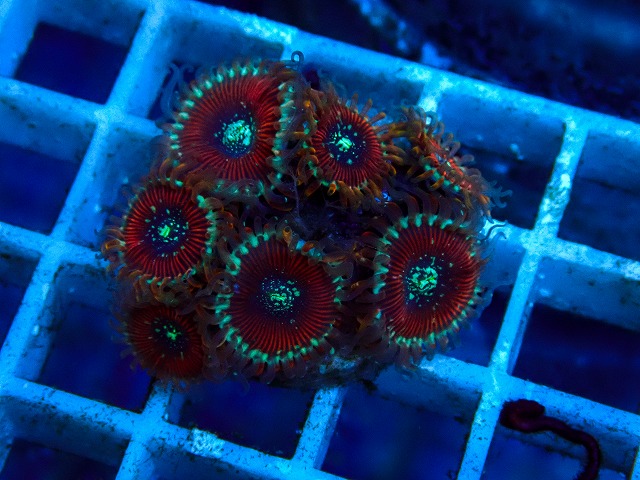 l260515-179