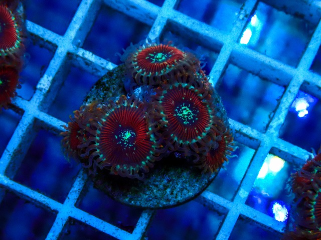 l260515-180