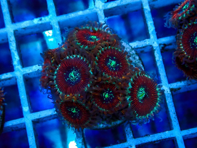 l260515-181