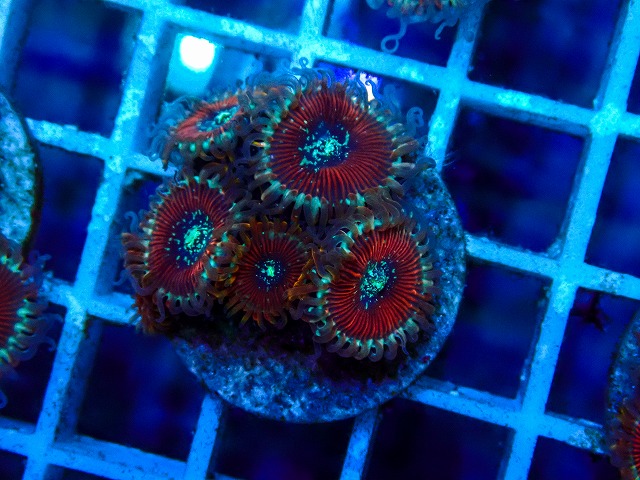 l260515-182