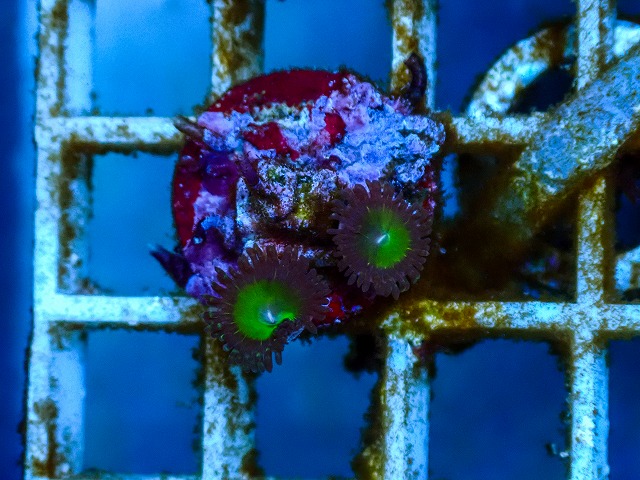 l260515-197