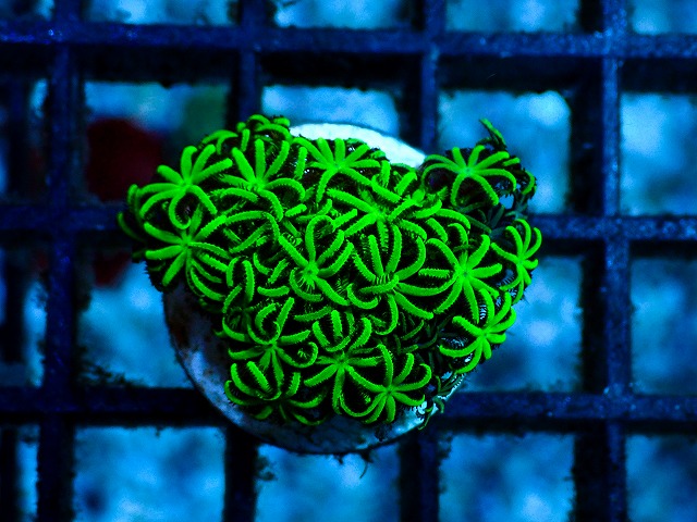 l260528-01
