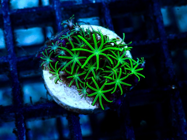 l260528-05