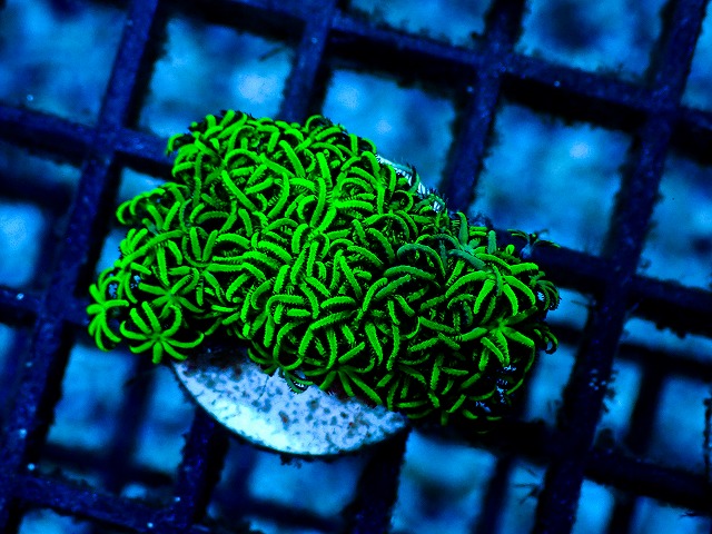 l260528-09