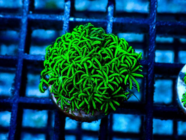 l260528-10