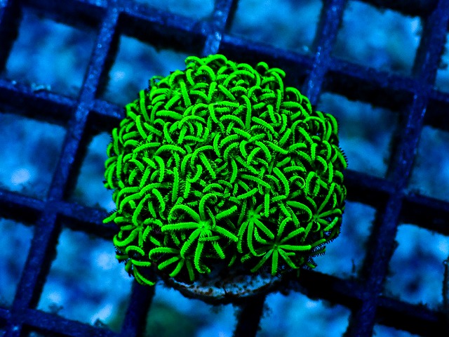 l260528-14 1