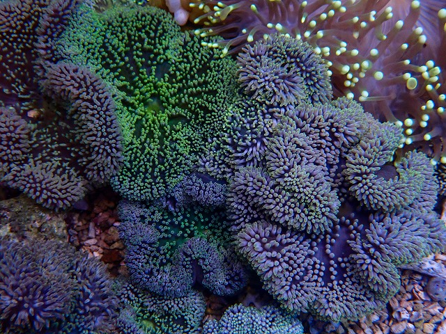 l260528-18