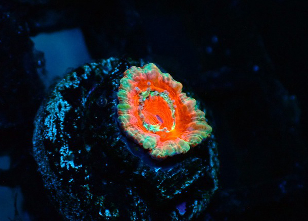 S260623001 (102)