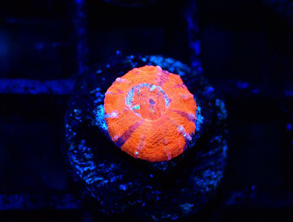 S260623001 (31)