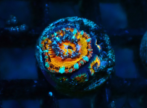 S260623001 (76)