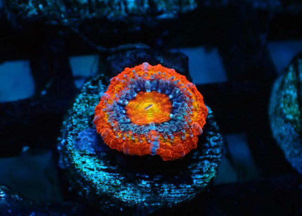S260623001 (82)
