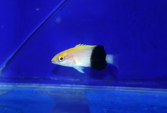S260625001 (21)