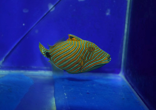 S260625001 (24)