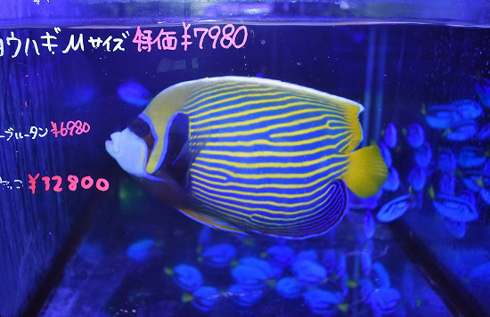 S260625001 (48)