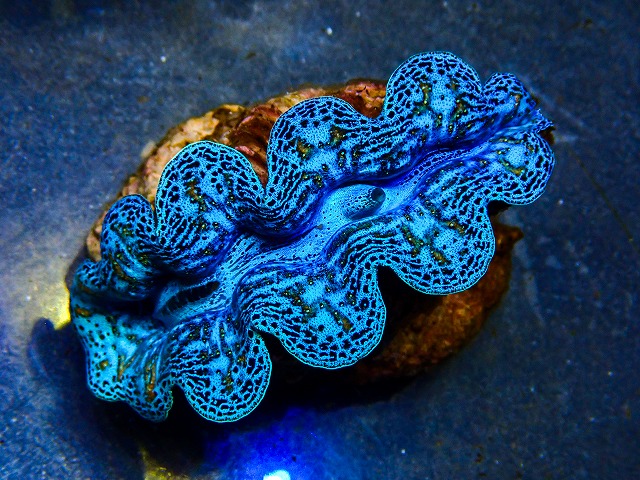 l260604-12