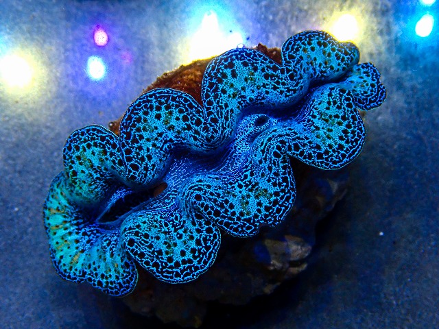 l260604-14