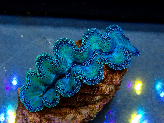 l260604-16