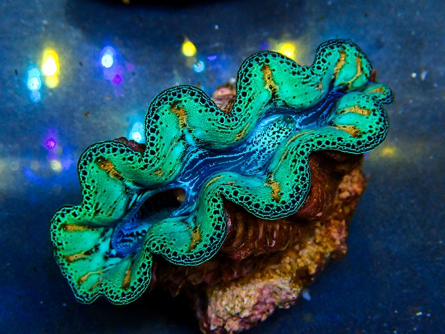 l260604-17