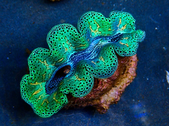 l260604-18