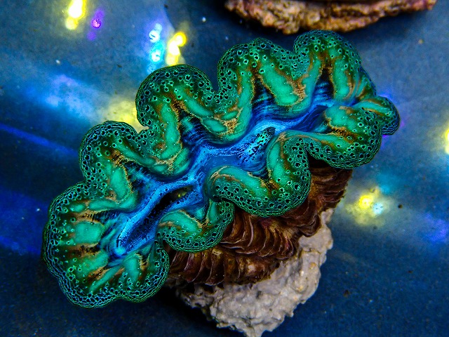 l260604-25