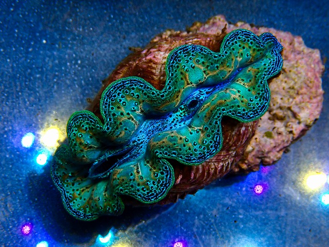 l260604-28