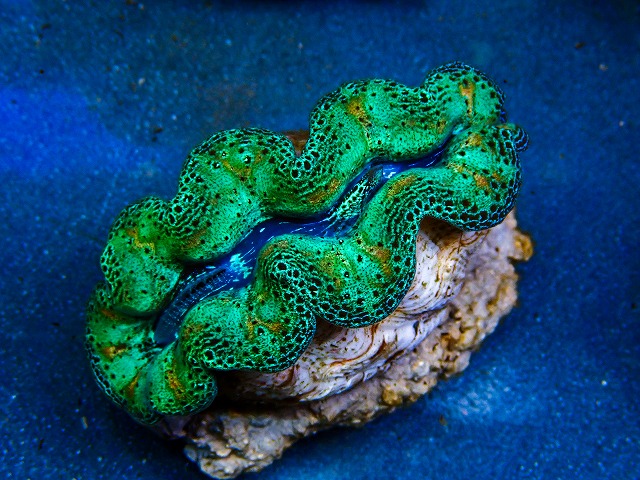 l260604-34