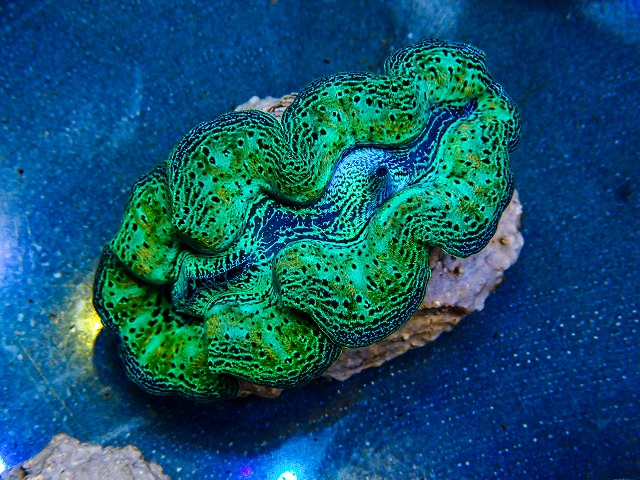 l260604-35