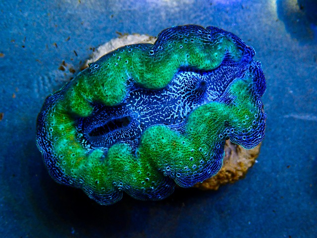 l260604-45