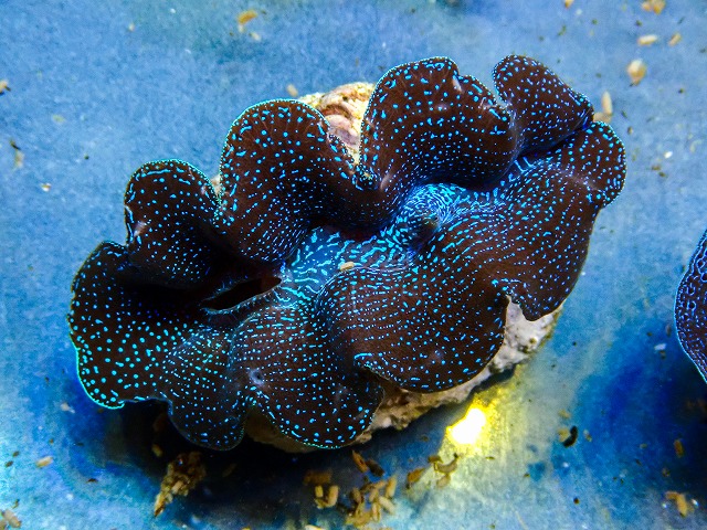 l260604-57