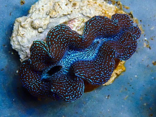 l260604-59
