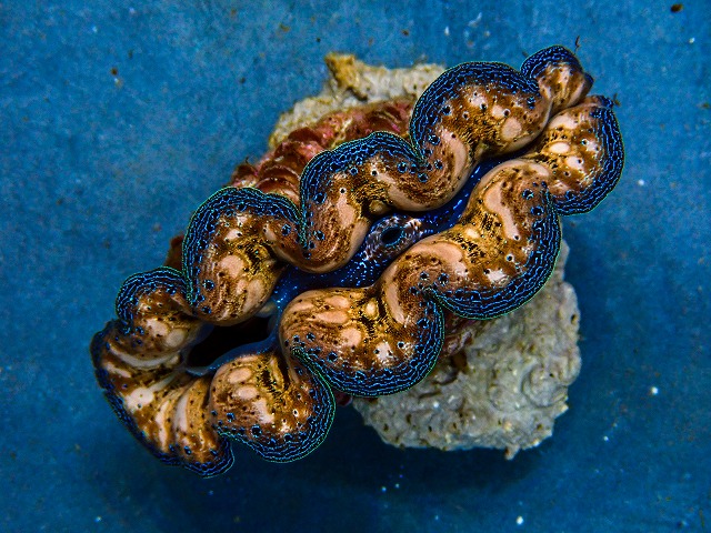 l260604-68