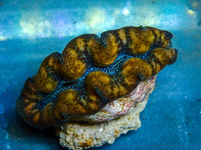 l260604-69