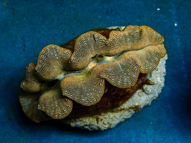 l260604-78