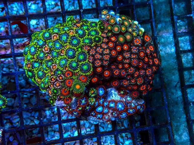 l260605-05