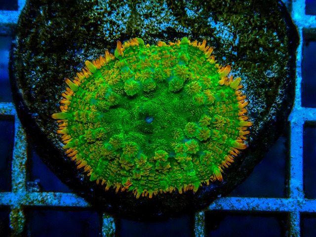 l260605-12