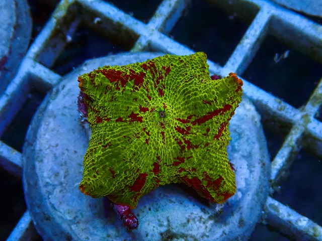 l260605-16