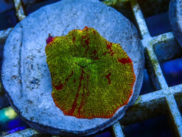 l260605-22