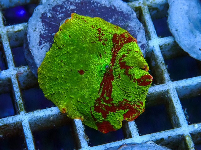 l260605-23
